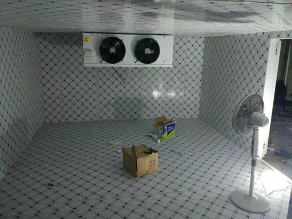 邗江区超低温冷库设计